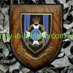 1966/05/14 – 1966/05/22 Exercise „PARSONS PLEASURE V“